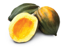 Guide to Squash - Acorn