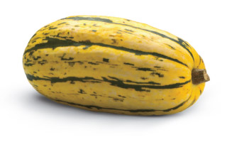 Guide to Squash - Delicata