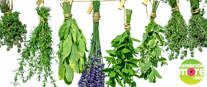 Meet Your Herbs