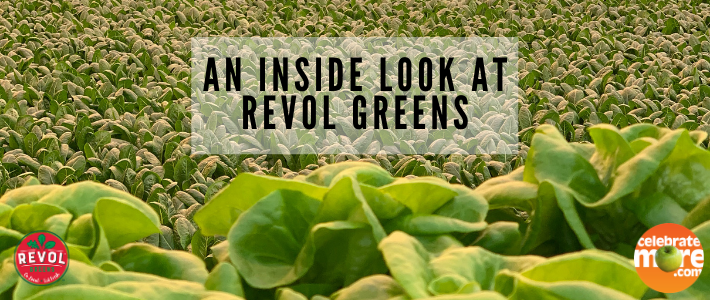 Revol Greens Greenhouse: An Inside Look at Local Greenhouse in Owatonna, MN