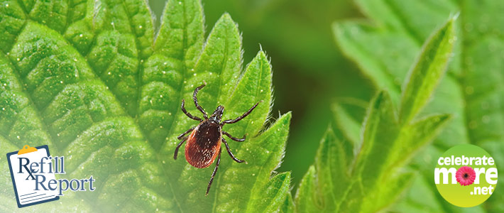 Summer is Tick Season