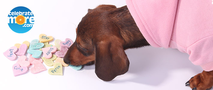 Valentine’s Puppy Treats