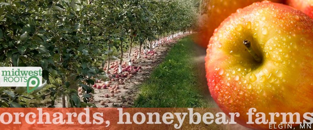 Orchards, Honeybear Farms – Elgin, MN