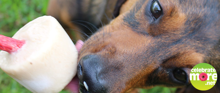 Homemade Puppy Pops