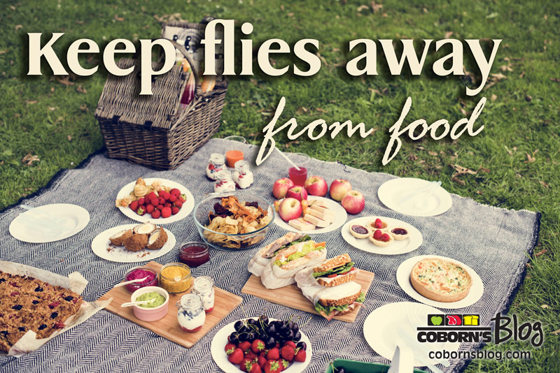 Keep flies away from Food